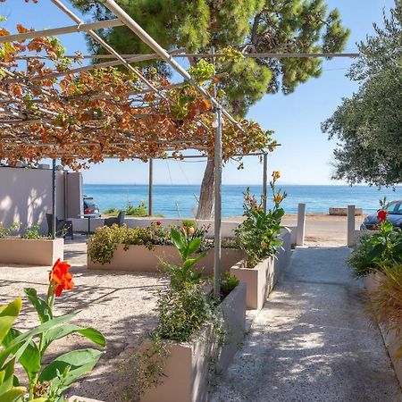 Akrogiali Studios Poros  Luaran gambar