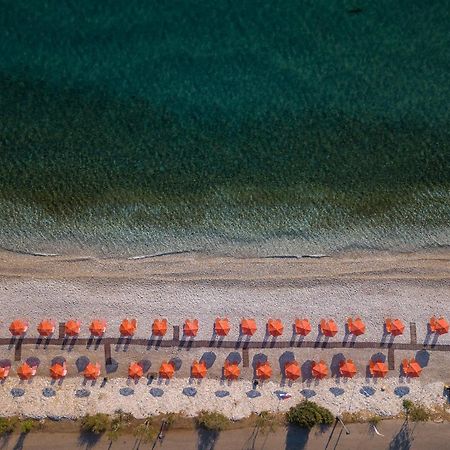 Akrogiali Studios Poros  Luaran gambar