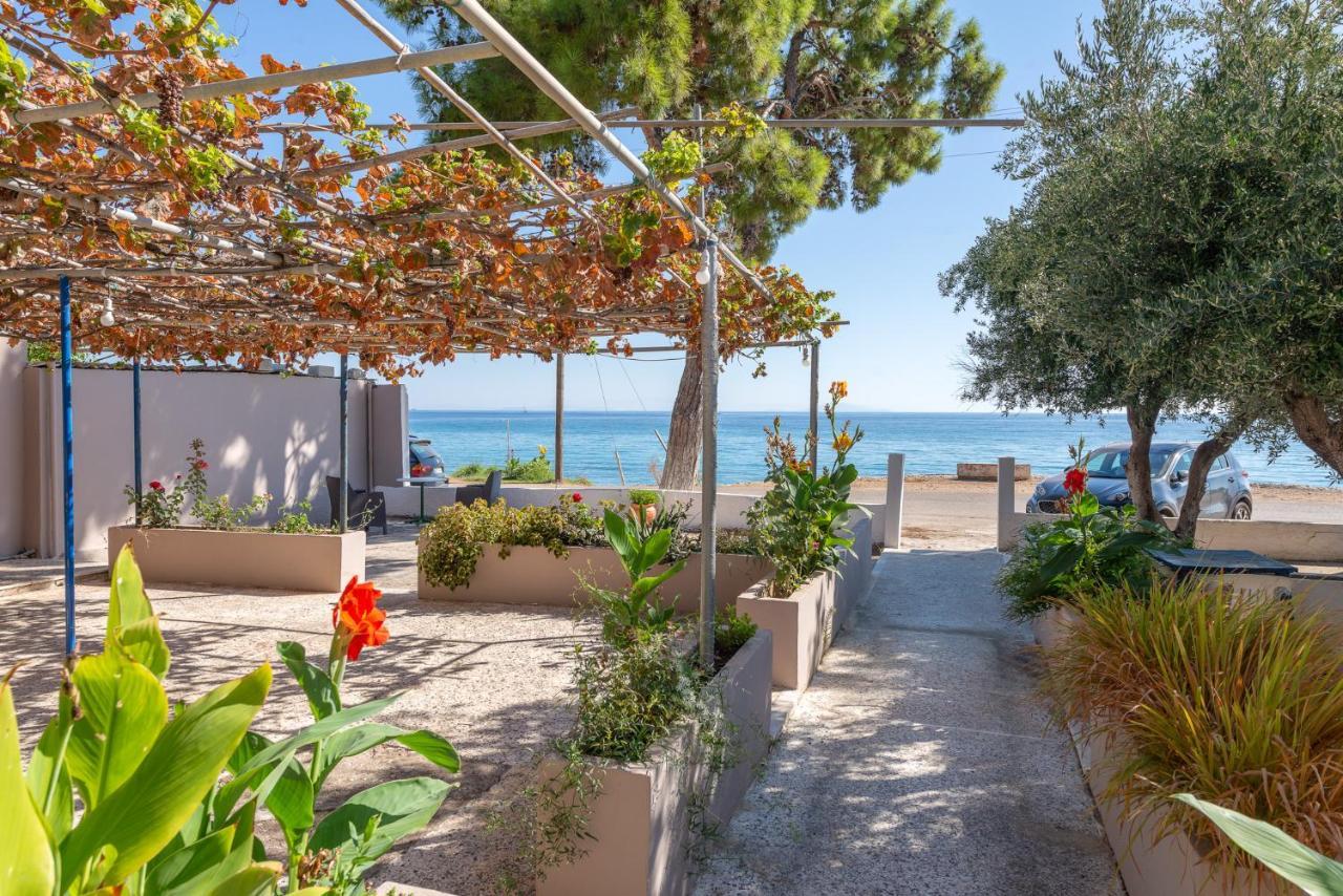 Akrogiali Studios Poros  Luaran gambar